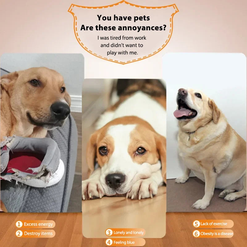 Dog Pet Toys Three-speed Distance Adjustment Automatic Throwing Machine Catapult 3/6/9m Tennis Launcher Pet Ball Throw Device